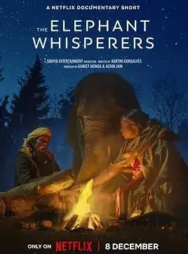 小象守护者:勇气与冒险的感人动画之旅