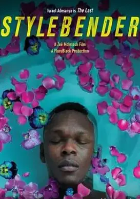 风格弯曲者:一场颠覆视听的艺术盛宴,探寻创意内核