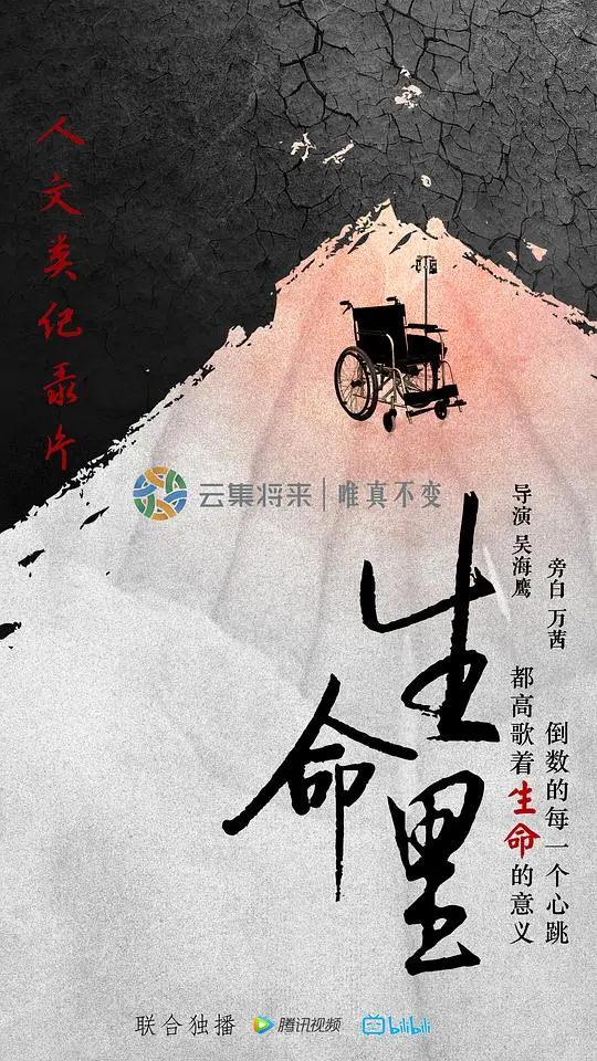 《生命里》:光影记录生命轨迹,感悟人生百态