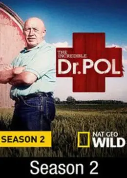 《动物神医第二季》:暖心回归,治愈萌宠与人心