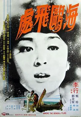 《海鸥飞处》：生命的低语与灵魂的远航，一段关于追寻与放手的治愈之旅