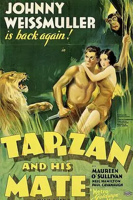 《泰山得美》：都市丛林中的野性觉醒与情感救赎，一段触及灵魂的成长史诗