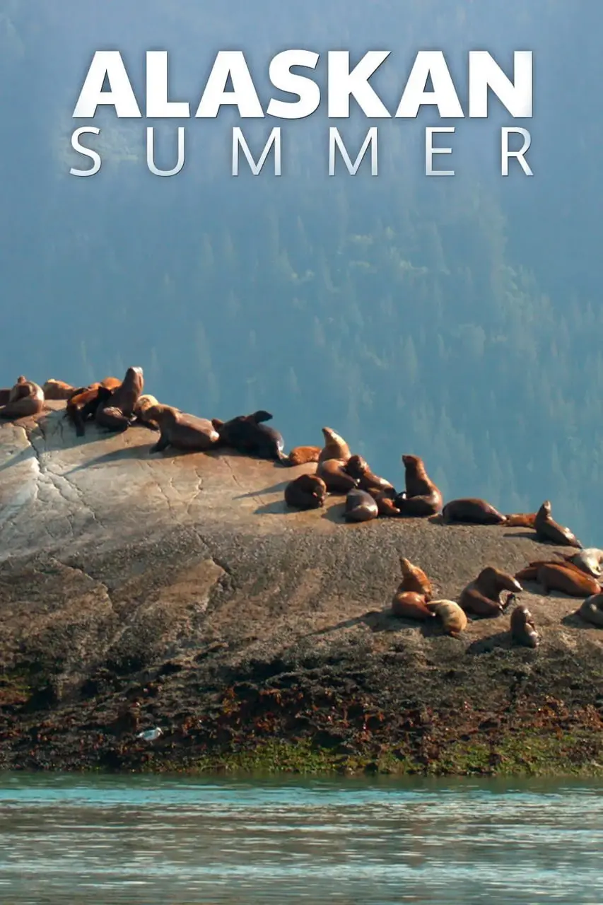 《阿拉斯加之夏》：不仅仅是青春的悸动，更是关于梦想与自我发现的史诗级探索