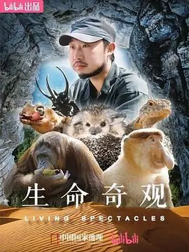 《生命奇观》：探索生命的奥秘，一次震撼心灵的自然之旅